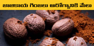Uses Of Nutmeg,Diabetic Tips,Jajikaya Syrup,Life Style,Nutmeg,Health Benefits,Nutrition,Nutmeg Benefits,Nutmeg Powder,Nutmeg Powder Uses,Nutmeg Uses,Nutmeg Recipes Recipes,Nutmeg Tea Benefits,Health Benefits Of Nutmeg,Everything You Need To Know About Nutmeg,Nutmeg Benefits For Skin,Nutmeg Benefits For Hair,Health Tips,Health Benefits Of Nutmeg,Amazing Health Benefits,Benefits Of Nutmeg For Men's Health,Nutmeg Benefits For Skin,Excellent Benefits Of Nutmeg,Nutmeg Health Benefits,Amazing Health Benefits Of Nutmeg,Jajikaya,Health Tips In Telugu,Beauty Tips,Easy Beauty Tips,How To Use Nutmeg,Top Health Benefits Of Nutmeg,Best Health Tips,Amazing Tips For Good Health,Telugu Health Tips