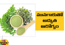 Excellent Health With Munagaku, Munagaku Health Benifits, Health With Munagaku, Drumstick Leaves Benifits, Benefits of Drinking Drumstick Leaves, Drumstick Leaves Advantages, Drumstick, Munagaku, Munaga Tree, Nutrients, Drumstick For Health, Health News, Health Tips, Healthy Food, Healthy Diet, Fitness, Mango News, Mango News Telugu