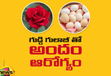 Uses Of Table Rose,Mango News Telugu,Mango News,Table Rose,Table Rose Multicolour,Table Rose Plants,Uses Of Table Rose For Hair,Uses Of Table Rose For Skin,Table Rose Colours,Table Rose For Skin Whitening,Health Tips,Skin Benefits,Table Rose Tips,Table Rose Face Mask