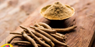 Benefits Of Using Ashwagandha, Ashwagandha Benefits, Health Benefits of Ashwagandha, Ashwagandha Benefits For Men, Ashwagandha Benefits For Women, Advantages of Ashwagandha, Ashwagandha, Ashwagandha Herb, Benefits, Ashwagandha Side Effects, Ashwagandha Powder, Ayurveda Medicine, Health News, Health Tips, Healthy Food, Healthy Diet, Fitness, Mango News, Mango News Telugu