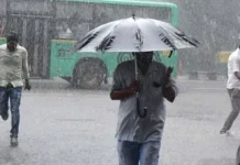 Bee Alert Heavy Rains Again, AP, AP CM Chandra Babu Naidu Meets Representatives Of World Bank, CM Chandra Babu, Heavy Rains In Andhra, Heavy Rains In Telangana, Rains Alert, Telangana, Rains For Four Days, Heavy Rain In AP, Weather Report, Red Alert, Heavy Rains In Telangana, Weather Report, Red Alert In Hyderabad, TS Live Updates, Heavy Rain, Andhra Pradesh, AP Rains, AP Live Updates, Political News, Mango News, Mango News Telugu