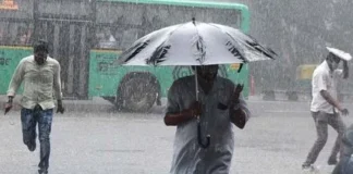 Bee Alert Heavy Rains Again, AP, AP CM Chandra Babu Naidu Meets Representatives Of World Bank, CM Chandra Babu, Heavy Rains In Andhra, Heavy Rains In Telangana, Rains Alert, Telangana, Rains For Four Days, Heavy Rain In AP, Weather Report, Red Alert, Heavy Rains In Telangana, Weather Report, Red Alert In Hyderabad, TS Live Updates, Heavy Rain, Andhra Pradesh, AP Rains, AP Live Updates, Political News, Mango News, Mango News Telugu