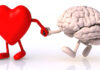 Where Does Love Originate In The Human Brain, Where Does Love Originate, Love Originate, Love Located in the Brain, The Neuroscience of Love, Love Brain Symptoms, Love and Brain Psychology, FMRI, Functional Magnetic Resonance Imaging, Love, Love Originate In The Human Brain, New Study, Health Tips, Healthy Food, Healthy Diet, Fitness, Mango News, Mango News Telugu