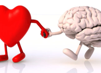 మనిషి మెదడులో ప్రేమ ఎక్కడ పుడుతుంది..? Where Does Love Originate In The Human Brain, Where Does Love Originate, Love Originate, Love Located in the Brain, The Neuroscience of Love, Love Brain Symptoms, Love and Brain Psychology, FMRI, Functional Magnetic Resonance Imaging, Love, Love Originate In The Human Brain, New Study, Health Tips, Healthy Food, Healthy Diet, Fitness, Mango News, Mango News Telugu