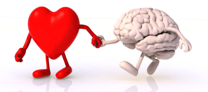 Where Does Love Originate In The Human Brain, Where Does Love Originate, Love Originate, Love Located in the Brain, The Neuroscience of Love, Love Brain Symptoms, Love and Brain Psychology, FMRI, Functional Magnetic Resonance Imaging, Love, Love Originate In The Human Brain, New Study, Health Tips, Healthy Food, Healthy Diet, Fitness, Mango News, Mango News Telugu