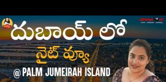 Night View At Palm Jumeirah Island Manogna Suryadevara, Night View At Palm Jumeirah Island, Palm Jumeirah Island Night View, Palm Jumeirah Island, Manogna Suryadevara At Palm Jumeirah Island, Night View At Palm, Dubai, Manogna Suryadevara, Manogna Suryadevara Latest Videos, Manogna Suryadevara Videos, Manogna Suryadevara Travel Videos, Manogna Suryadevara Vlogs, Manogna Suryadevara Fun Videos, Mango News, Mango News Telugu