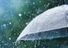 Rain Alert For These Districts Of AP, AP Rains Updates, AP Weather Update, Rain Alert, Officials Have Been Alerted, Heavy Rain Are Falling Across AP, Heavy Rain In AP, Weather Report, Red Alert, AP, Heavy Rain, Andhra Pradesh, AP Rains, AP Live Updates, Political News, Mango News, Mango News Telugu