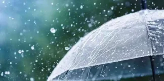 Rain Alert For These Districts Of AP, AP Rains Updates, AP Weather Update, Rain Alert, Officials Have Been Alerted, Heavy Rain Are Falling Across AP, Heavy Rain In AP, Weather Report, Red Alert, AP, Heavy Rain, Andhra Pradesh, AP Rains, AP Live Updates, Political News, Mango News, Mango News Telugu