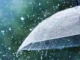 Rain Alert For These Districts Of AP, AP Rains Updates, AP Weather Update, Rain Alert, Officials Have Been Alerted, Heavy Rain Are Falling Across AP, Heavy Rain In AP, Weather Report, Red Alert, AP, Heavy Rain, Andhra Pradesh, AP Rains, AP Live Updates, Political News, Mango News, Mango News Telugu