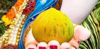 Laddu Worth Rs 120 Crore, Ganeshchaturthi, Balapur Laddu, Balapur Laddu Auction, Ganesh Laddu, Khairathabad Ganesh, Keerthi Richmond Villas, Ganesh Laddu Auctioned, Ganesh Laddu Sold For Rs 1.20 Crore, Bandlaguda Ganesh Laddu, Ganesh Immersion, Hussain Sagar, Hyderabad Ganesh Festival, Hyderabad, Traffic Rules, Lord Vinayaka, Balapur Ganesh, Ganesh Chaturthi, Khairatabad Ganesh, Telangana Government, Telangana Police, Hyderabad Live Updates, Latest Hyderabad News, TS Live Updates, Mango News, Mango News Telugu