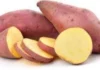 It Is Good To Eat Sweet Potato In Rainy Season, Eat Sweet Potato In Rainy Season, Sweet Potato Health Benefits, Sweet Potato Advantages, Health Benefits Of Sweet Potatoes., It Is Good To Eat Sweet Potato, Rainy Season, Vegetables During Monsoon, Health News, Health Tips, Healthy Food, Healthy Diet, Fitness, Mango News, Mango News Telugu