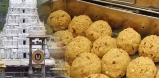 Politics Around TTD Laddu, TTD Laddu Politics, AP CM Chandra Babu Comments On TTD Laddu, Pavan Kalyan, Thirumala Laddu, TTD Laddu, TTD Laddu Issue, TTD Laddu Price, Tirupati Laddu Controversy, Tirupati Laddu Row, Animal Fat Used In Tirupati Laddu, YCP, Thirumala Laddu, Thirumala News, TTD, Laddu In Hyderabad, Tirumala, Tirumala Tirupati, Venkateswara Swamy, Tirupati, Latest Tirupati News, Andhra Pradesh, AP Live Updates, Live Updates, Breaking News, Headlines, Live News, Mango News, Mango News Telugu