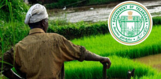 Rythu Bharosa Key Update, Rythu Bharosa, Latest Rythu Bharosa News, Rythu Bharosa In Octobar, Rythu Bharosa Cabinet Meeting, Cabinet Meeting, Loan Waiver, Loan Waiver For All Farmers, Rythu Bharosa Update, breaking news, CM Revanth Reddy, Headlines, Hyderabad Live Updates, Latest Hyderabad News, Live News, Live political news, telangana, TS Live Updates, Mango News, Mango News Telugu