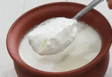 Curd Is Good But Not For Them, Curd Is Good For Health, Advantages Of Eating Curd, Effects Of Eating Curd, Benifits Of Eating Curd, Curd, Curd Is Good, Curd Is Good..But Not For Them, Who Should Not Eat Curd, Yoghurt, Health News, Health Tips, Healthy Food, Healthy Diet, Fitness Tips, Mango News, Mango News Telugu