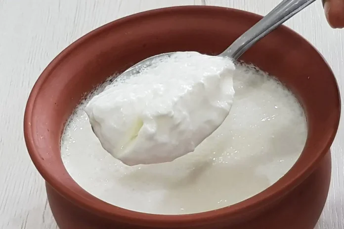 Curd Is Good But Not For Them, Curd Is Good For Health, Advantages Of Eating Curd, Effects Of Eating Curd, Benifits Of Eating Curd, Curd, Curd Is Good, Curd Is Good..But Not For Them, Who Should Not Eat Curd, Yoghurt, Health News, Health Tips, Healthy Food, Healthy Diet, Fitness Tips, Mango News, Mango News Telugu