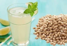 Benefits Of Barley Seeds, Barley Seeds Advantages, Barley Seeds Uses, Barley Seeds For Health, Benefits Of Barley Seeds, Drinking Barley Daily, Health Benefits of Barley, Benefits Of Barley Water, Lower Cholesterol, Blood Sugar, Health News, Health Tips, Healthy Food, Healthy Diet, Fitness Tips, Mango News, Mango News Telugu