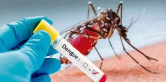 Dengue On The Rise In Telangana Three Died Yesterday, Dengue Cantrol In Telangana, Dengue Cantrol Latest News And Updates, Dengue Fever Cases, Dengue Cases Rise In Telangana, Telangana Dengue Cases, Dengue Fever Effects In Telangana, Dengue, Dengue Control In Telangana, Dengue Fever, Telangana, Fevers In Telangana, Health News, Health Tips, Healthy Food, Healthy Diet, Fitness, Mango News, Mango News Telugu