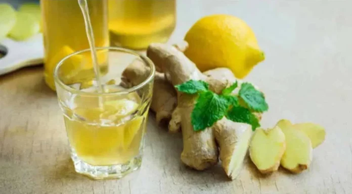 Drinking Warm Ginger Water Can Relieve Various Ailments, Drinking Warm Ginger Water, Ginger Water, Ginger Water For Health, Ginger Water Benefits, Cold Symptoms, Digestive Problems, Ginger Water, Headaches, Joint Pains And Weak Immunity, Menstrual Cramps, Muscle Pain, Nausea, Health News, Health Tips, Healthy Food, Healthy Diet, Fitness, Mango News, Mango News Telugu