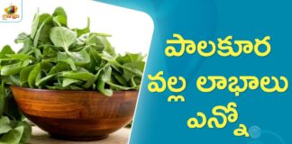 Why Spinach Is Called A Superfood Protein Diet, Superfood Protein Diet, Superfood, Protein Diet, Spinach is called a Superfood, Spinach Nutrition Facts, Health Benefits of Spinach, Latest Health Tips 2024, Mango Life, Protein Diet, Why Spinach Is Called A Superfood?, Health News, Health Tips, Healthy Food, Healthy Diet, Fitness Tips, Mango News, Mango News Telugu