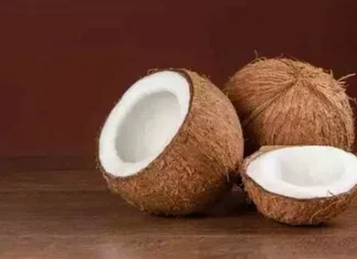 You Can Lose Weight With Raw Coconut, Lose Weight With Raw Coconut, Weight Lose With The Raw Coconut, Raw Coconut, Raw Coconut Benefits, Raw Coconut Advantages, Health Benefits Of Raw Coconut, Coconut, Coconut For Weight Loss, Weight Loss Tips, Weight Loss Meal Plan, Faster Way To Fat Loss, Weight Loss Food, Health News, Health Tips, Healthy Food, Healthy Diet, Fitness, Mango News, Mango News Telugu