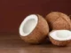 You Can Lose Weight With Raw Coconut, Lose Weight With Raw Coconut, Weight Lose With The Raw Coconut, Raw Coconut, Raw Coconut Benefits, Raw Coconut Advantages, Health Benefits Of Raw Coconut, Coconut, Coconut For Weight Loss, Weight Loss Tips, Weight Loss Meal Plan, Faster Way To Fat Loss, Weight Loss Food, Health News, Health Tips, Healthy Food, Healthy Diet, Fitness, Mango News, Mango News Telugu