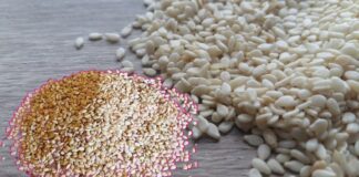 You Will Be Surprised To Know The Benefits Of Sesame Seeds, Benefits Of Sesame Seeds, Sesame Seeds Benefits, Sesame Seeds Advantages, Sesame Seeds For Health, Benefits of White Sesame Seeds, Black Sesame Seeds, If Nutrients Are Abundant Sesame Seeds, Sesame Seeds, Health, Health News, Health Tips, Healthy Food, Healthy Diet, Fitness, Mango News, Mango News Telugu