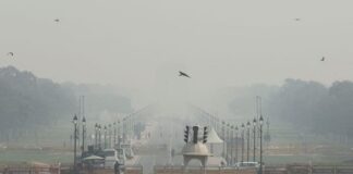 Capital Delhi Is Ranked 176 Out Of 180 Countries, Delhi Is Ranked 176, Out Of 180 Countries Delhi Is Ranked 176, Capital Delhi, Allocation Of Funds For Environmental Protection, Delhi Is Ranked 176 Out Of 180 Countries, Effective Conservation Measures, India’S Rank In The World Nature Conservation Index, Delhi, Delhi Live Updates, Delhi Politics, National News, India, Congress, BJP, PM Modi, Live Updates, Breaking News, Live News, Mango News, Mango News Telugu