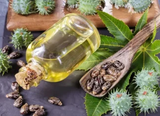 Castor Oil Is Not Only For Health But Also For Beauty, Advantages Of Castor Oil, Health Benefits Of Castor Oil, Castor Oil Benefits, Effects Of Benefits, Benefits Of Castor Oil, Castor Oil, Castor Oil For Health But Also For Beauty, Health, Health Tips, Healthy Food, Healthy Diet, Fitness, Mango News, Mango News Telugu