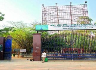 Largest Underpass At KBR Park
