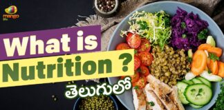 Why Are Nutrients Important, Nutrient Growth Development, Latest Telugu Health Tips, Mango Life, Nutrient Growth & Development, Nutrients Important, Nutrients For Body, Health News, Health Tips, Healthy Food, Healthy Diet, Fitness, Mango News, Mango News Telugu