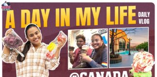 A Day In The Canadian Life, Life In Canada Daily Life Vlog, Sahithi Life Tales, Canada Daily Life, Canada Life, Canada Vlogs, Canada Telugu Vlogs, Canada Telugu Videos, Canada, Daily Life Vlog, Life In Canada, Sahithi Life Tales, Sahithi Life Tales Videos, Sahithi Canada Vlogs, Sahithi Canada Videos, National News, International News, Mango News, Mango News Telugu