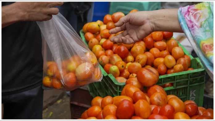 The Price Of A Kilogram Of Century Hit Tomato, Century Hit Tomato, Price Of A Kilogram Tomato, Huge Increase In Tomato Price, Increased Tomato Price, Onion Price, Price Of Onion, Tomato Prices Hit A Century, Tomato Hits Rs 100 Per Kg, Tomato Price Touches Hundered, Tomato Price Increased, Vegitable Price Increased, Vegitables, Health Tips, Healthy Food, Healthy Diet, Fitness, Mango News, Mango News Telugu