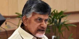 CM Chandrababu Is Angry With Those Who Are Making Obscene Comments On Social Media Platforms Against Women In AP, Comments On Social Media Platforms, Comments Against Women In AP, Angry On Social Media Platforms, Chandrababu Warning, Pavan Kalyan, TDP, Chandrababu Is Angry, YCP, CM Chandrababu, Andhra Pradesh, AP Live Updates, Live Updates, Breaking News, Headlines, Live News, Mango News, Mango News Telugu