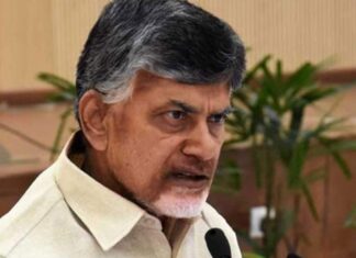 CM Chandrababu Is Angry With Those Who Are Making Obscene Comments On Social Media Platforms Against Women In AP, Comments On Social Media Platforms, Comments Against Women In AP, Angry On Social Media Platforms, Chandrababu Warning, Pavan Kalyan, TDP, Chandrababu Is Angry, YCP, CM Chandrababu, Andhra Pradesh, AP Live Updates, Live Updates, Breaking News, Headlines, Live News, Mango News, Mango News Telugu