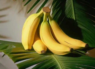 These Foods Can Change Your Mood, Foods Can Change Your Mood, Mood Change Foods, Are You In A Good Mood?, Change Your Mood, Good Mood, Healthy Mood-Boosting Foods, Foods To Uplift Your Mood, Mood Boosting Foods, Good Mood Foods, Health, Health News, Health Tips, Healthy Food, Healthy Diet, Fitness, Mango News, Mango News Telugu