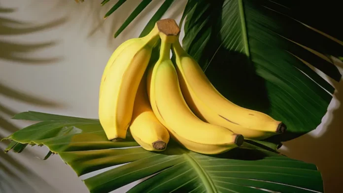 These Foods Can Change Your Mood, Foods Can Change Your Mood, Mood Change Foods, Are You In A Good Mood?, Change Your Mood, Good Mood, Healthy Mood-Boosting Foods, Foods To Uplift Your Mood, Mood Boosting Foods, Good Mood Foods, Health, Health News, Health Tips, Healthy Food, Healthy Diet, Fitness, Mango News, Mango News Telugu