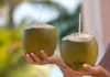 Coconut Water Is Good, But Drinking Too Much Can Definitely Cause These Health Issues!, Drinking Too Much Coconut Water Is Not Good, Effect Of Coconut Water, Coconut Water Health Effects, Coconut Water, You Drink Coconut Water Too Much, You Will Get These Diseases, ealth Benefits And Risks Of Coconut Water, Common Mistakes While Coconut Drinking Water, Benefits Of Drinking Coconut Water, Advantages of Drinking Coconut Water, Health, Health News, Health Tips, Healthy Food, Healthy Diet, Fitness, Mango News, Mango News Telugu