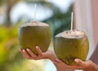 Coconut Water Is Good, But Drinking Too Much Can Definitely Cause These Health Issues!, Drinking Too Much Coconut Water Is Not Good, Effect Of Coconut Water, Coconut Water Health Effects, Coconut Water, You Drink Coconut Water Too Much, You Will Get These Diseases, ealth Benefits And Risks Of Coconut Water, Common Mistakes While Coconut Drinking Water, Benefits Of Drinking Coconut Water, Advantages of Drinking Coconut Water, Health, Health News, Health Tips, Healthy Food, Healthy Diet, Fitness, Mango News, Mango News Telugu