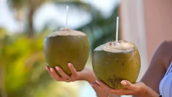 Coconut Water Is Good, But Drinking Too Much Can Definitely Cause These Health Issues!, Drinking Too Much Coconut Water Is Not Good, Effect Of Coconut Water, Coconut Water Health Effects, Coconut Water, You Drink Coconut Water Too Much, You Will Get These Diseases, ealth Benefits And Risks Of Coconut Water, Common Mistakes While Coconut Drinking Water, Benefits Of Drinking Coconut Water, Advantages of Drinking Coconut Water, Health, Health News, Health Tips, Healthy Food, Healthy Diet, Fitness, Mango News, Mango News Telugu