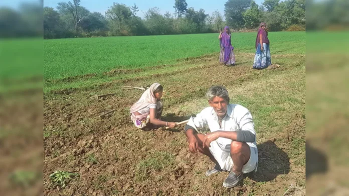 Good News For Farmers Government Takes Key Decisions On Loan Waiver And Farmer Insurance, Government Takes Key Decisions, Key Decisions On Loan Waiver, Key Decisions On Farmer Insurance, Raithu Bandhu, Farmer Insurance, Good News For Farmers, Loan Waiver, Rythu Runa Mafi, Crop Loan Waiver, Latest Rythu Runa Mafi News, Runa Mafi News Update, Crop Loan, CM Revanth Reddy, Telangana, TS Politics, TS Live Updates, Political News, Mango News, Mango News Telugu