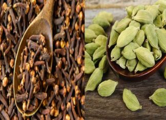 Are You Suffering From Cough And Cold, Cough And Cold, Suffering From Cough And Cold, Suffering From Cough, Cardamom, Cloves Powder, Ginger, Suffering From Cough And Cold, Winter Health, Remedies For Cough And Cold, Health, Health Tips, Healthy Food, Healthy Diet, Fitness, Mango News, Mango News Telugu
