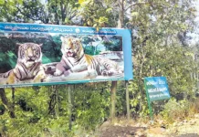 Evacuation Of Villages Within The Tiger Reserve, Evacuation Of Villages, Villages Within The Tiger Reserve, Tiger Reserve Villages, Kawal Tiger Reserve, Kawal Tiger Reserve, Telangana Government, The Tiger Reserve, Tiger, Hyderabad Live Updates, Latest Hyderabad News, Telangana, TS Politics, TS Live Updates, Political News, Mango News, Mango News Telugu