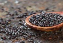 ఆవాలతో ఎన్ని ప్రయోజనాలున్నాయో తెలుసా..? Do You Know How Many Benefits There Are With Mustard Seeds, Benefits Of Mustard Seeds, Health Benefits Of Mustard Seeds, Advantages Of Mustard Seeds, Mustard Seeds Benefits, Mustard Seeds Uses, Black Mustard Seeds Benefits, Best Food Items, Mustard Seeds, Health, Health News, Health Tips, Healthy Food, Healthy Diet, Fitness, Mango News, Mango News Telugu