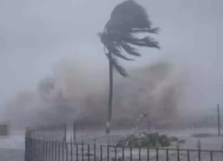 Highest Rainfall Recorded In AP, Highest Rainfall, Highest Rainfall In AP, Bay Of Bengal, Highest Rainfall Recorded In AP, Low Pressure In Bay Of Bengal, Rain, Rainfall, AP Weather Report, Meteorological Department, Rain Alert, Officials Have Been Alerted, Heavy Rain Are Falling Across AP, Heavy Rain In AP, Weather Report, Red Alert, AP, Heavy Rain, Andhra Pradesh, AP Rains, AP Live Updates, Political News, Mango News, Mango News Telugu