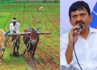 Smart Cards After Census Survey, Smart Cards, Census Survey, Smart Cards After Survey, CM Revanth Reddy, Good News For Farmers, Minister Ponguleti Srinivasa Reddy, Rahul Gandhi, Survey, Hyderabad Live Updates, Latest Hyderabad News, Telangana, TS Politics, TS Live Updates, Political News, Mango News, Mango News Telugu