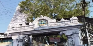 Congress Govt Special Focus On Development Of Vemulavada Temple, Congress Govt Special Focus, Special Focus On Development Of Vemulavada Temple, Vemulavada Temple Development, Govt Special Focus Vemulavada Temple, Vemulavada Development Focus, Congress, Revanth Reddy, TS Govt, Vemulavada, derabad Live Updates, Latest Hyderabad News, Telangana, TS Politics, TS Live Updates, Political News, Mango News, Mango News Telugu