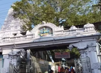 Congress Govt Special Focus On Development Of Vemulavada Temple, Congress Govt Special Focus, Special Focus On Development Of Vemulavada Temple, Vemulavada Temple Development, Govt Special Focus Vemulavada Temple, Vemulavada Development Focus, Congress, Revanth Reddy, TS Govt, Vemulavada, derabad Live Updates, Latest Hyderabad News, Telangana, TS Politics, TS Live Updates, Political News, Mango News, Mango News Telugu