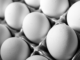 Why Eggs Are Costlier Than Chicken The Surprising Price Hike Explained, Why Eggs Are Costlier Than Chicken, Chicken Surprising Price Hike, Chicken Price, Eggs Price Hike, Chicken, Demand For Eggs, Eggs, Eggs Rate Hike, Rates, Seasonal Hikes, Health, Health News, Health Tips, Healthy Food, Healthy Diet, Fitness, Mango News, Mango News Telugu
