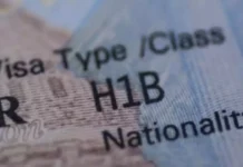 H1B వీసా ప్రొగ్రామ్లో జరిగిన మార్పులు తెలుసా? Are You Aware Of The Changes In The H1B Visa Program, Changes In The H1B Visa Program, H1B Visa Program, H1B Visa, America, Immigration Services, US Citizenship, US Citizens, USA Visa, Massive Surge In India, US Birth Citizenship, New York, America, USA, America News, America Live Updates, National News, International News, Live Updates, Breaking News, Headlines, Live News, Mango News, Mango News Telugu