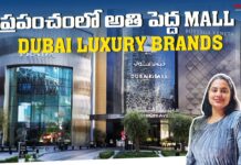 Dubai Mall Luxury Brands Dubai Mall Shopping, Dubai Mall, uxury Brands, Dubai Mall Luxury Brands, Dubai Mall Shopping, Dubai Vlog, Manogna Suryadevara, Walking Tour, Dubai Budget Shopping, Dubai Shopping, Meena Bazaar Dubai, Travel Vlog, Night View At Palm, Dubai, Manogna Suryadevara, Manogna Suryadevara Latest Videos, Manogna Suryadevara Videos, Manogna Suryadevara Travel Videos, Manogna Suryadevara Vlogs, Manogna Suryadevara Fun Videos, Mango News, Mango News Telugu